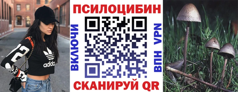 Галлюциногенные грибы Cubensis  Покров 