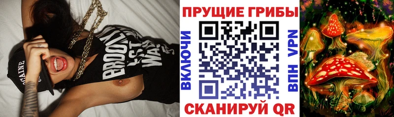 Галлюциногенные грибы GOLDEN TEACHER Покров
