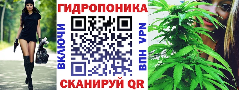 shop наркотические препараты  Покров  Каннабис Bruce Banner  продажа наркотиков  гидра ссылки 